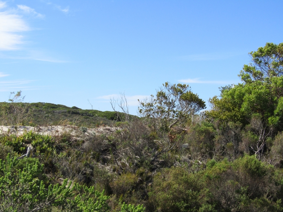 0 Bedroom Property for Sale in Suiderstrand Western Cape